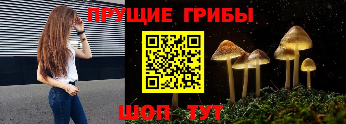 Псилоцибиновые грибы Cubensis  Вход с VPN  Соль-Илецк  Псилоцибиновые грибы Psilocybe 